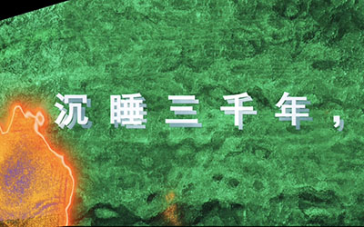 數(shù)字光魔裸眼3D電影藝術是裸眼3D顯示技術與電影藝術創(chuàng)作的創(chuàng)新形式